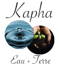 Kapha