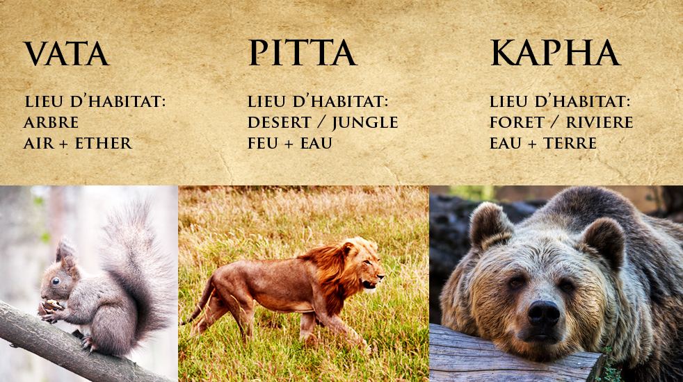 vata pitta kapha doshas animaux yoga&vedas